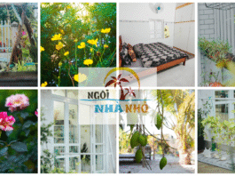 ngoinhanhoLagi-homestay